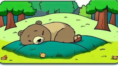 cuento-el-oso-holgazan